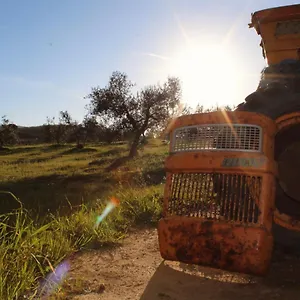 https://agricampeggio-la-piaggia-agriturismo.it-tuscanyhotel.com